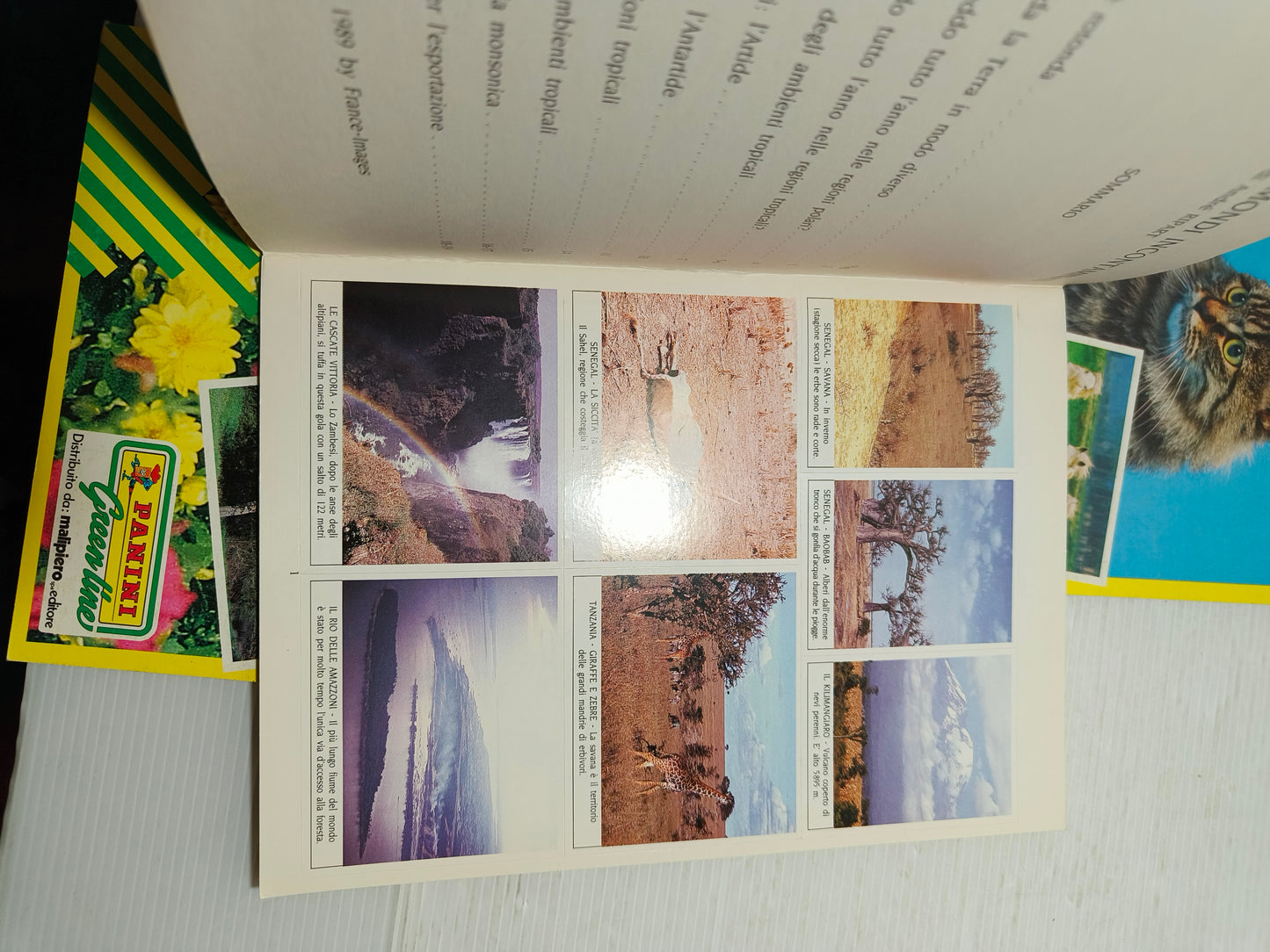 Lotto Le ricerche Panini con immagini adesive, anni 80