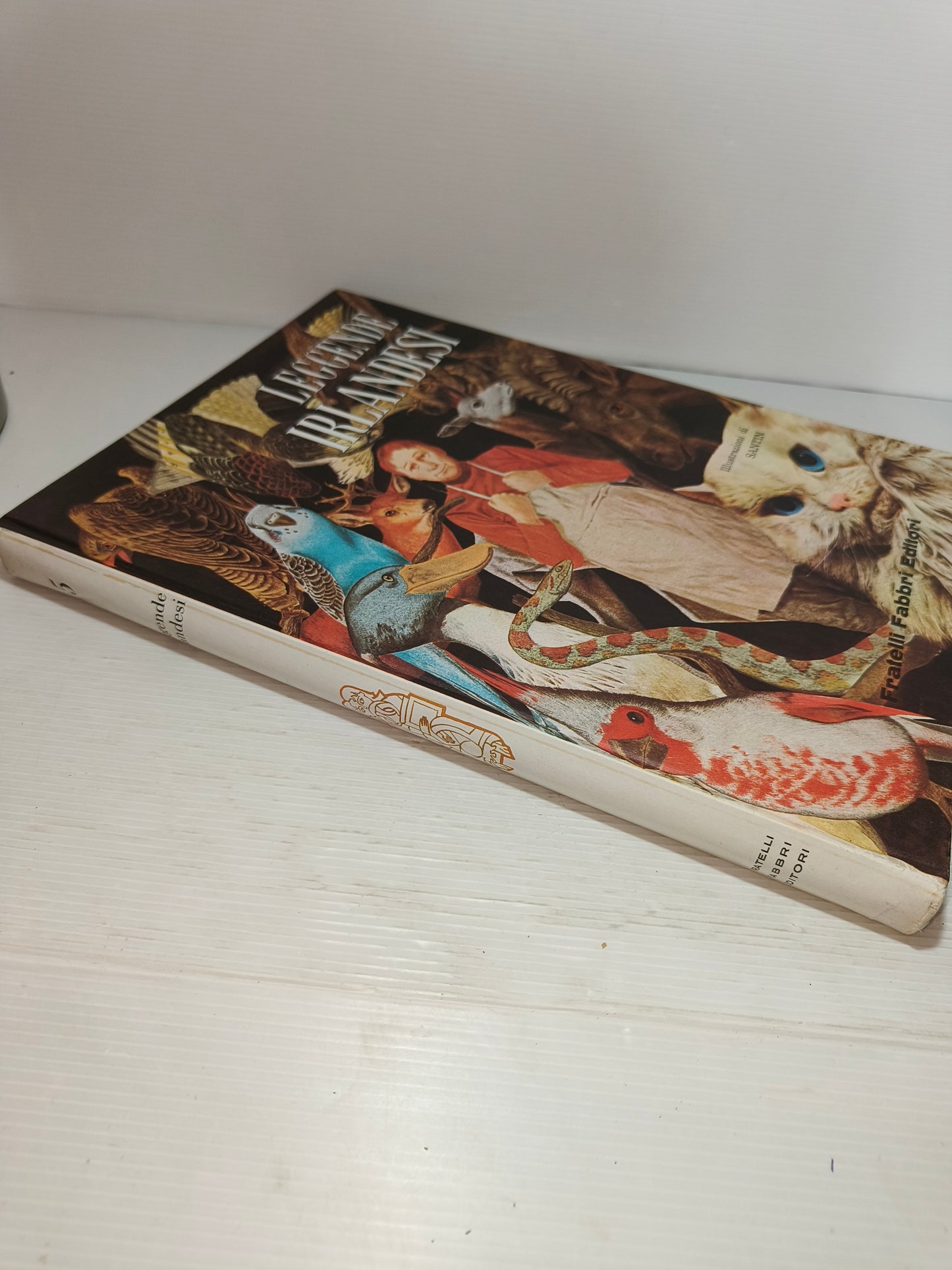 Libro Leggende Irlandesi, Fabbri Editori 1964 LEGGI