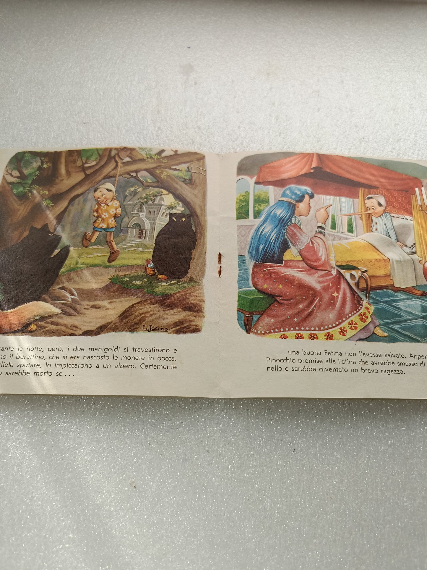 Pinocchio Collana Allegria Carroccio