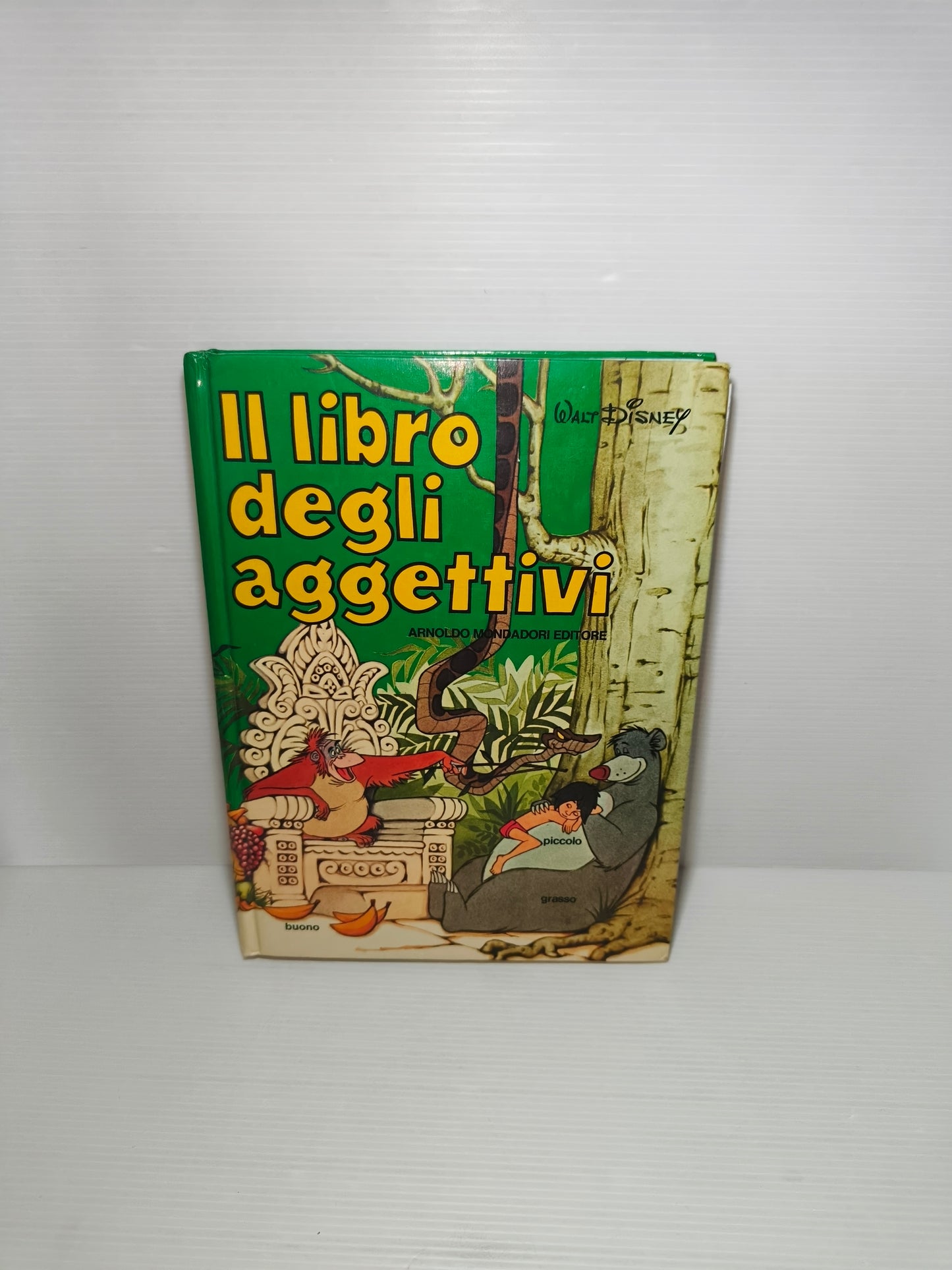 Il Libro Degli Aggettivi, 1976