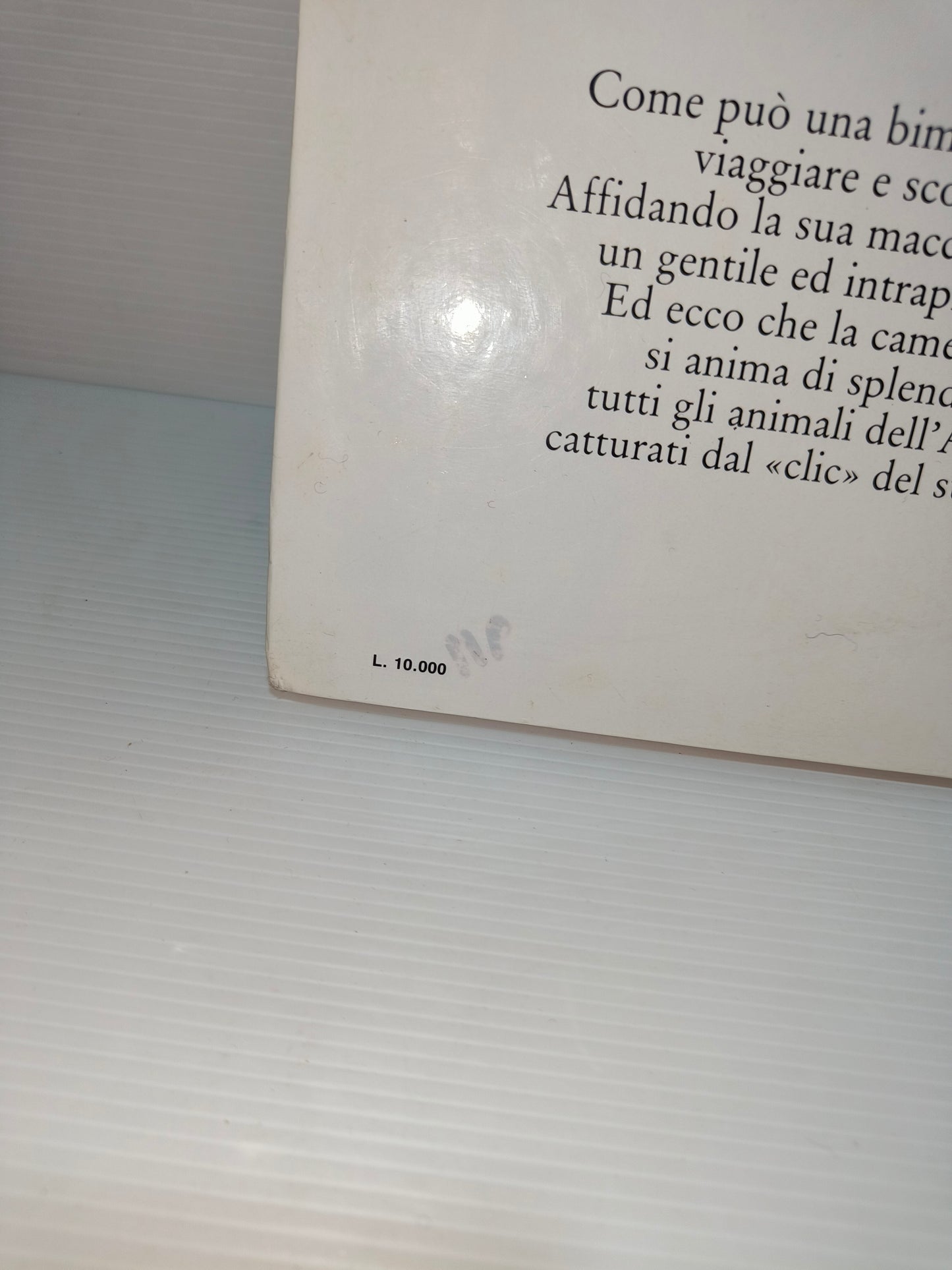 Libro L'uccellino fotoreporter, anni 80 LEGGI