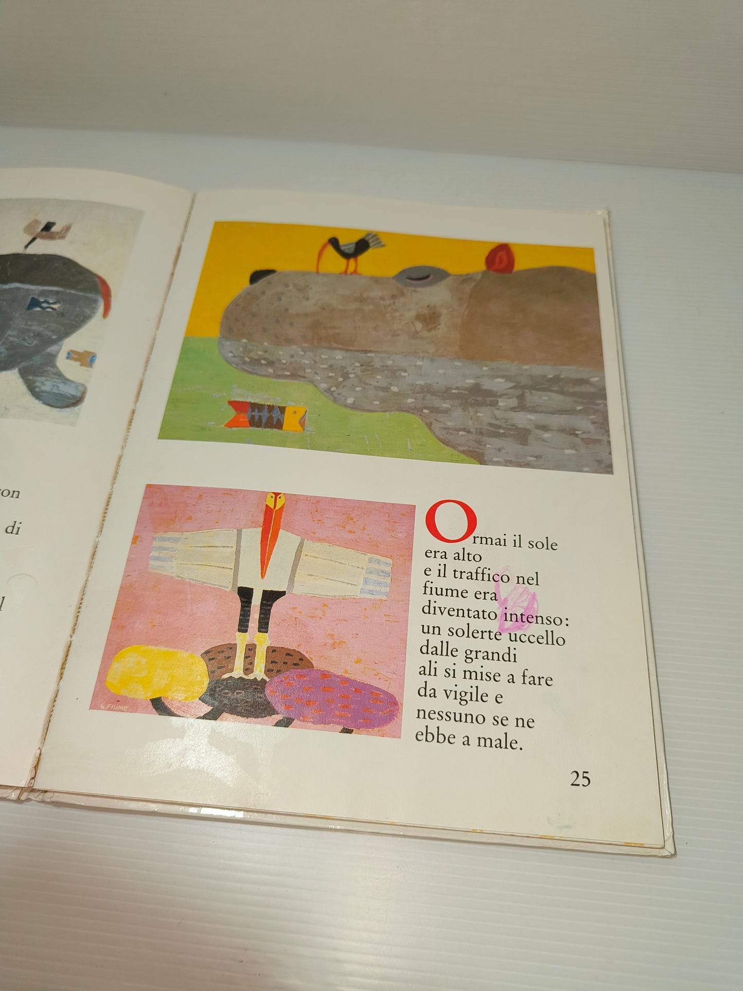 Libro L'uccellino fotoreporter, anni 80 LEGGI