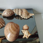 Lotto Conchiglie Vintage
