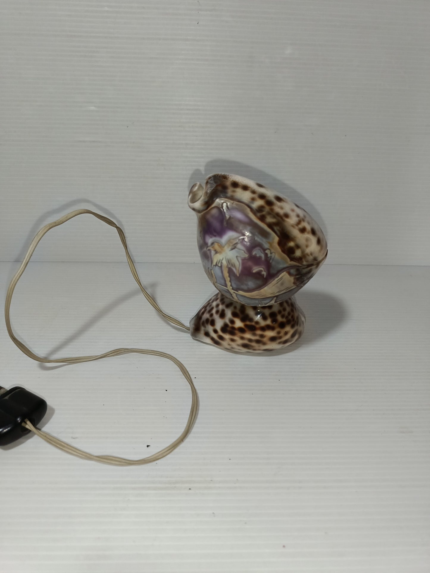 Lampada Di Conchiglia Vintage