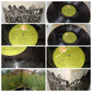 La Grande Casa Formula 3 Lp 33 Giri Edito nel 1973 da dischi Numero Uno Cod.DZSLN 55655