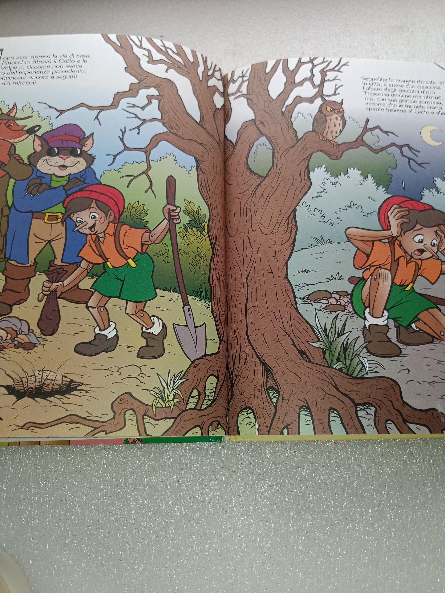 Pinocchio Il Regno Incantato
Edito nel 1996 da De Agostini