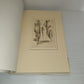 Poesie Piero Concio Illustrazioni G.De Bianchi