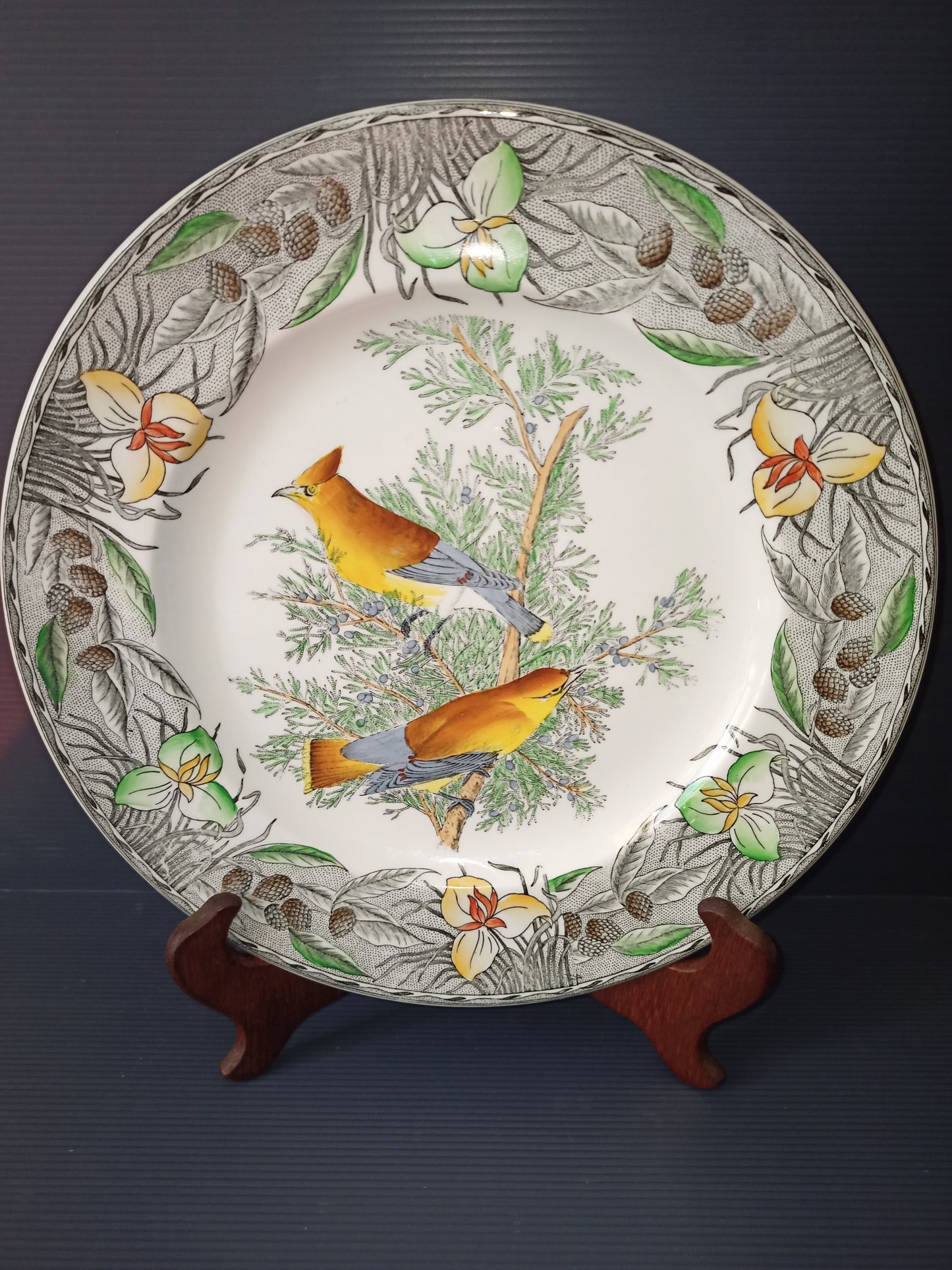 Vintage ceramic plate The Birds of America John James Audubon series