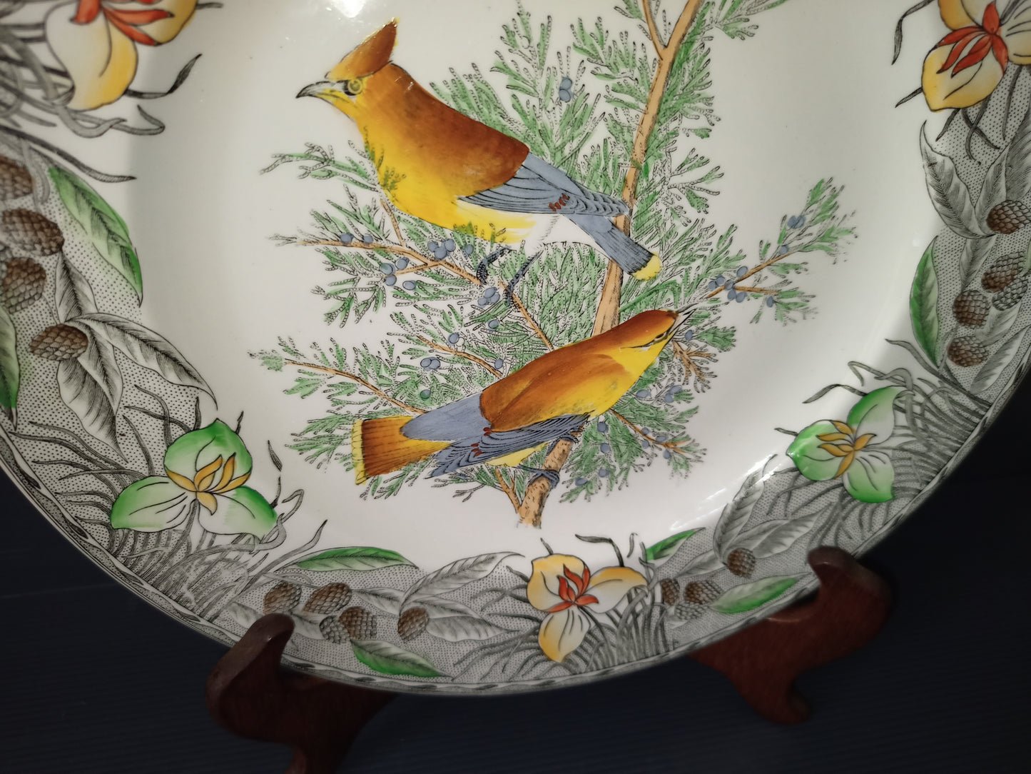 Vintage ceramic plate The Birds of America John James Audubon series