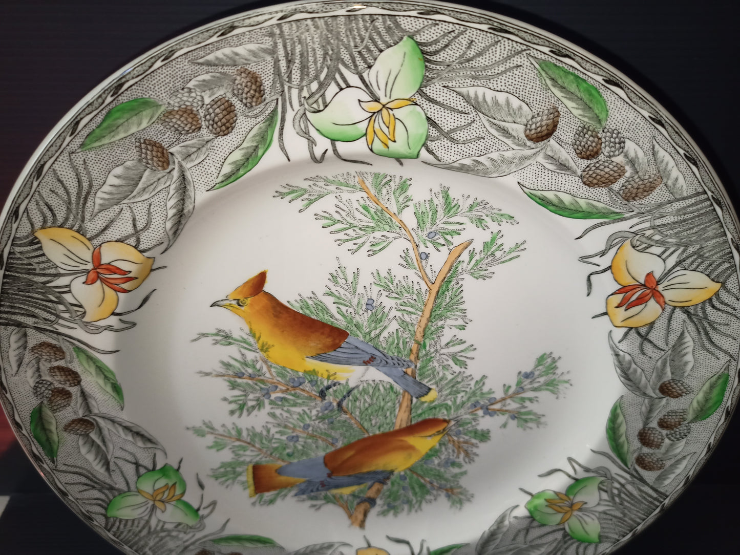 Vintage ceramic plate The Birds of America John James Audubon series