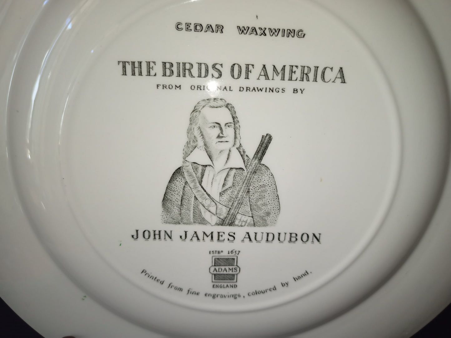 Vintage ceramic plate The Birds of America John James Audubon series