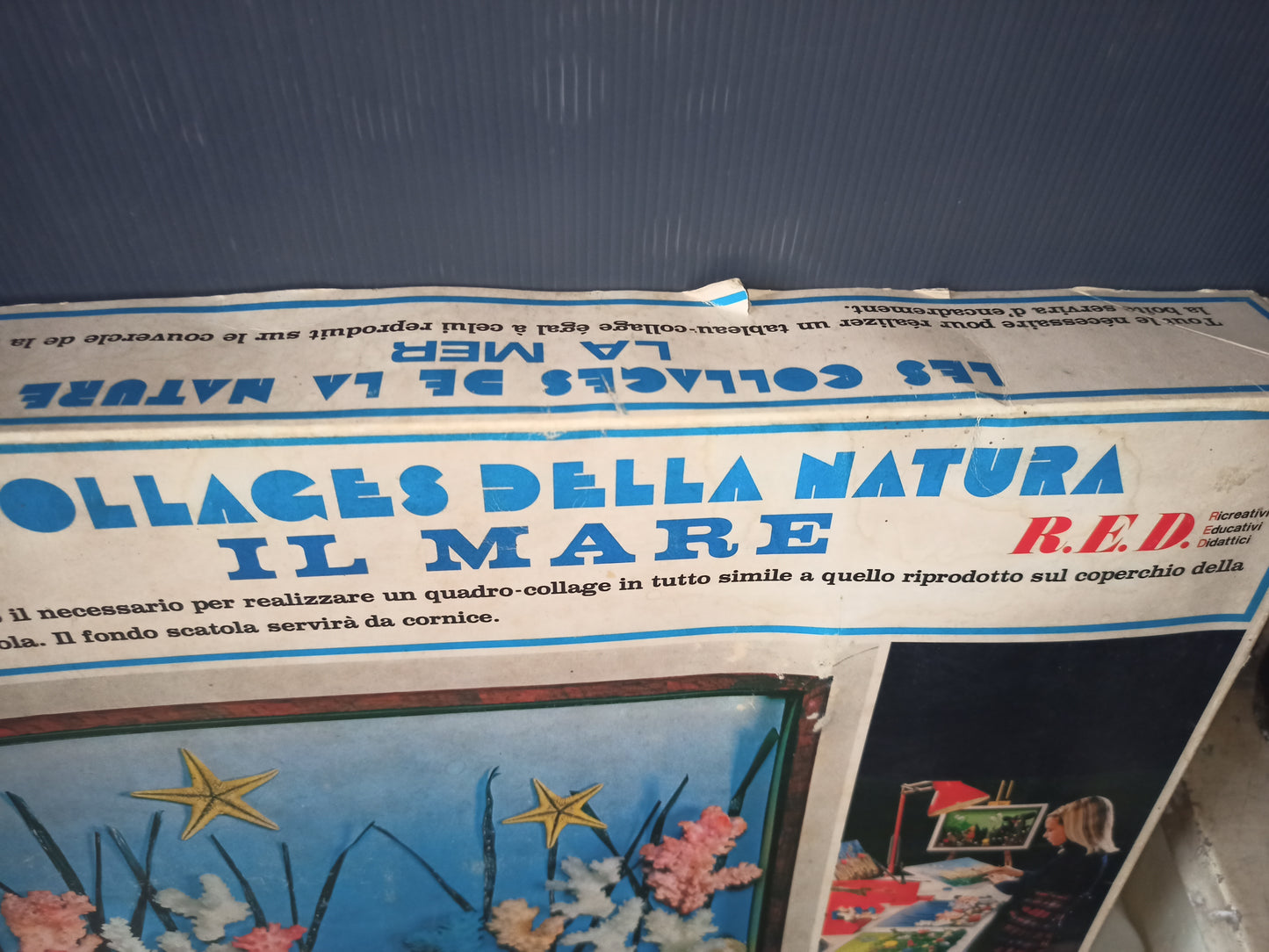 I Collages della natura serie "Il Mare", Pan Ludo originale anni 60-70