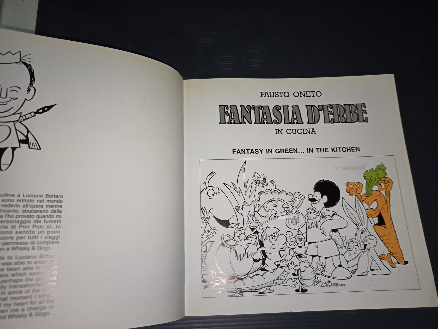 Book Fantasy of Herbs in the Kitchen, Fausto Oneto