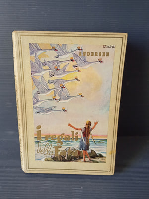 Descriptive image text