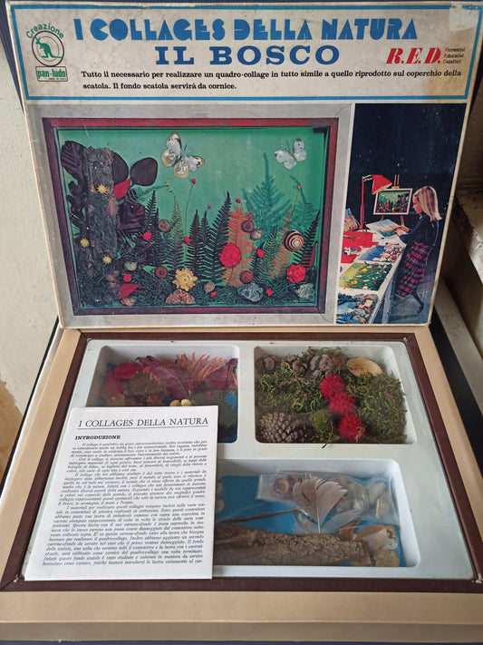 I Collages della natura Il Bosco, Pan Ludo originale anni 60-70