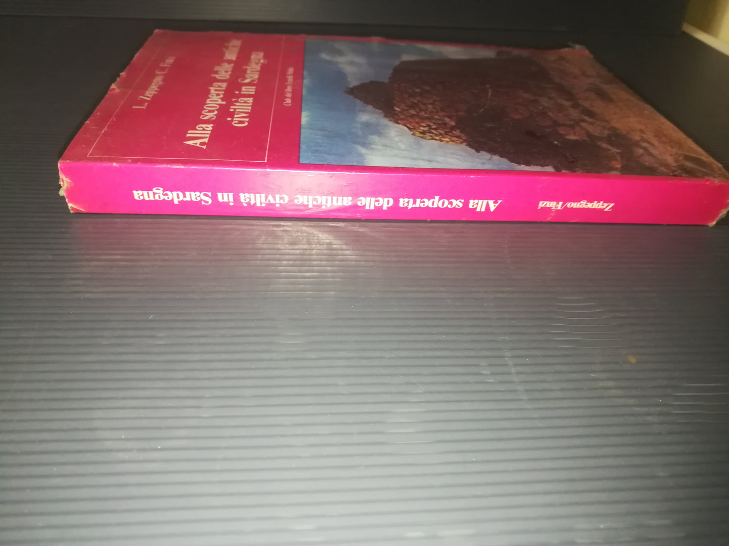 Alla Scoperta delle Antiche Civiltà in Sardegna" L.Zeppegno/C.Finzi Libro