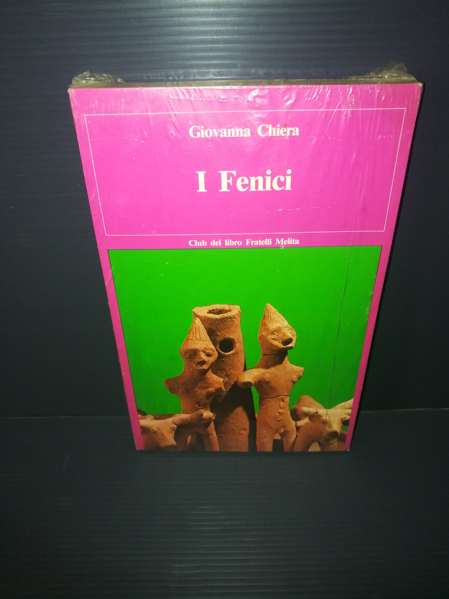 I Fenici" Giovanna Chiera  Libro