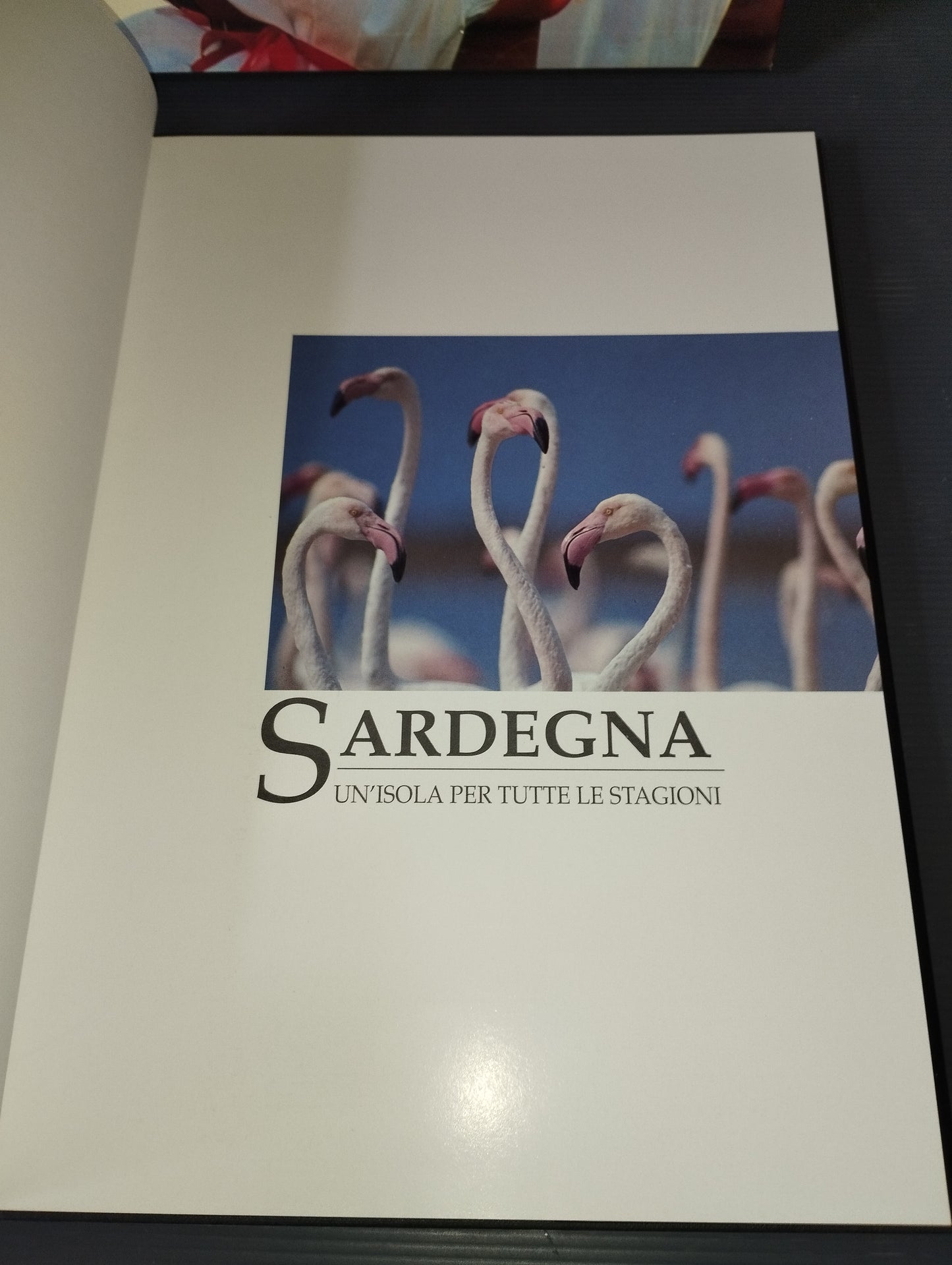 Book "Sardinia" Angioni/ Lilliu/Ruiu White Star 1993