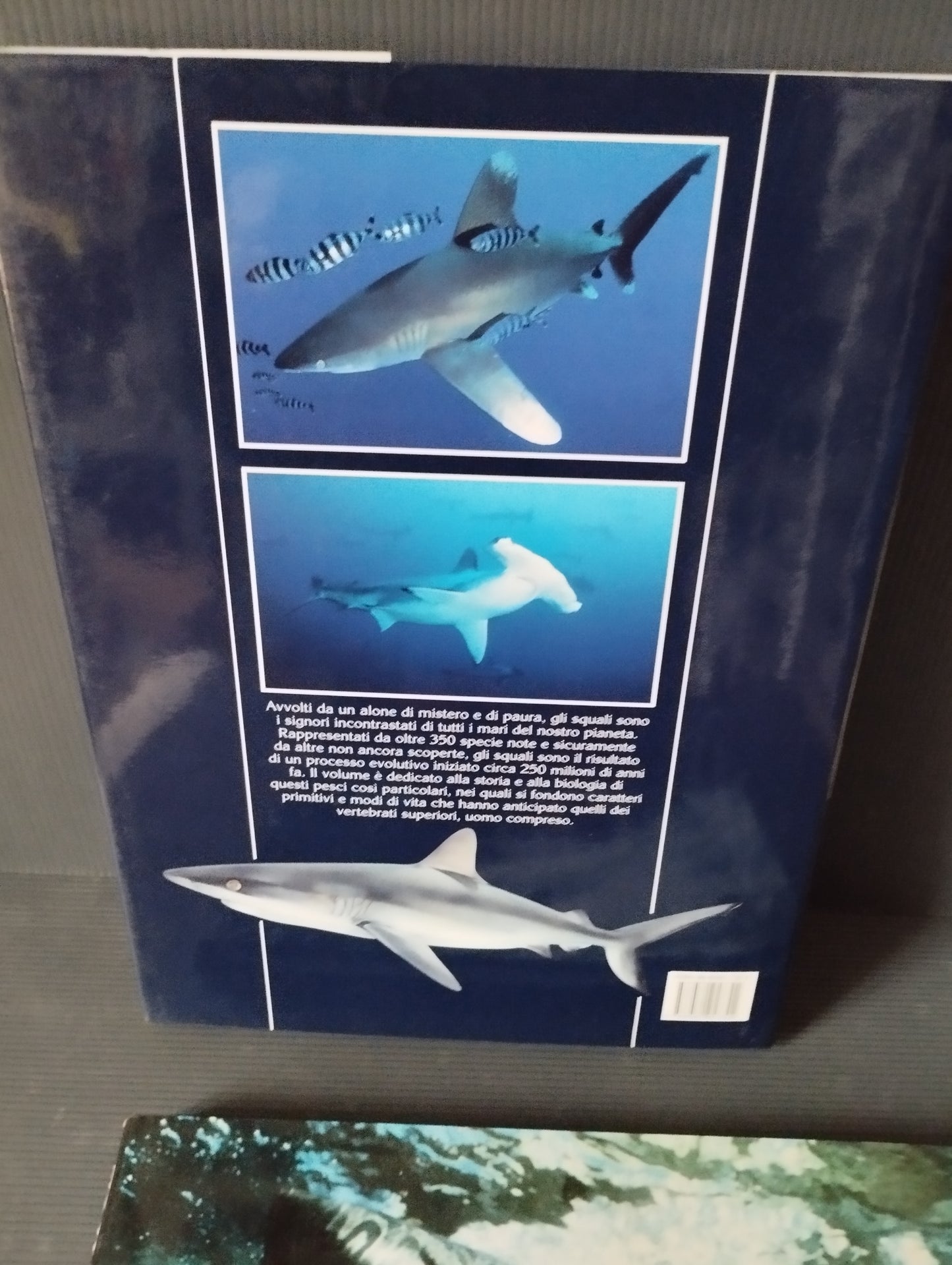 Lot of 2 "Sharks" books, White Star Editions