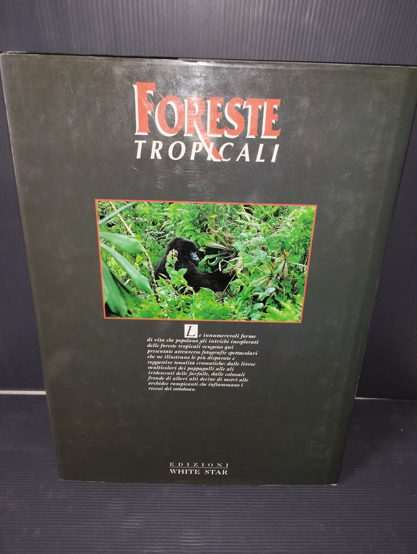 Libro "Foreste Tropicali" Francesco Petretti

Edito nel 1995 da Edizioni White Star