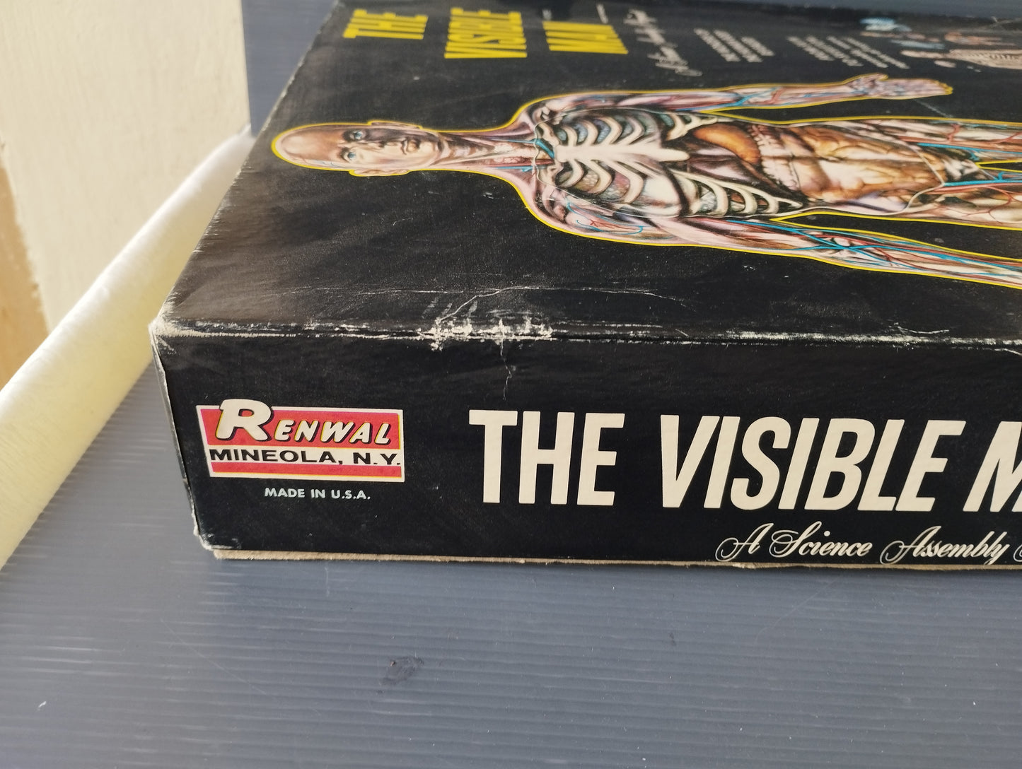 The Visibile Man"

Gioco Didattico prodotto negli anni 50 da Renwal

Made in USA